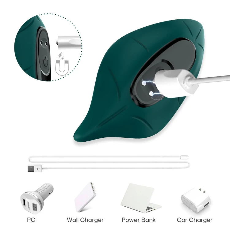 leavess-green-9-vibration-functions (2).jpg