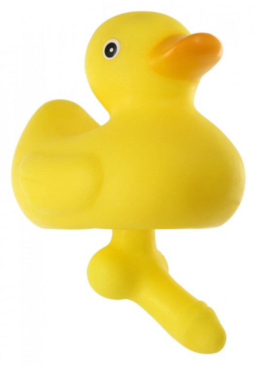 Duck with a Dick pływająca kaczka z podwodnym penisem